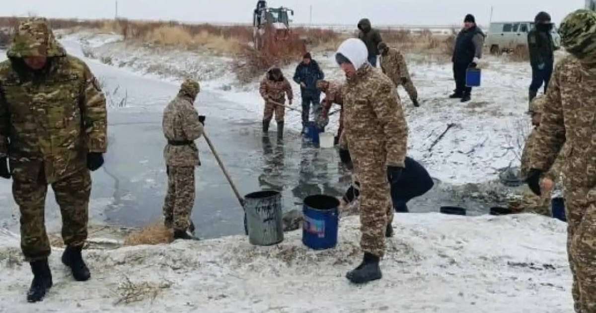 Атырау облысында 8,5 млн шабақ құтқарылды