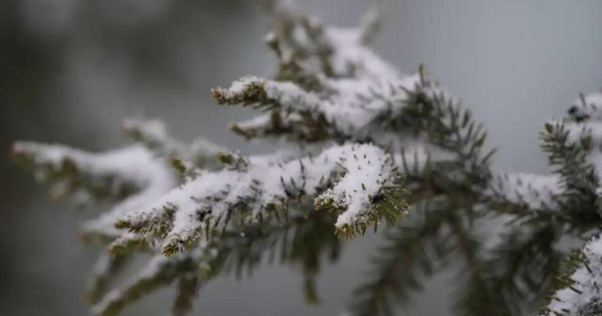 Демалыс күндері күн райы қандай болады