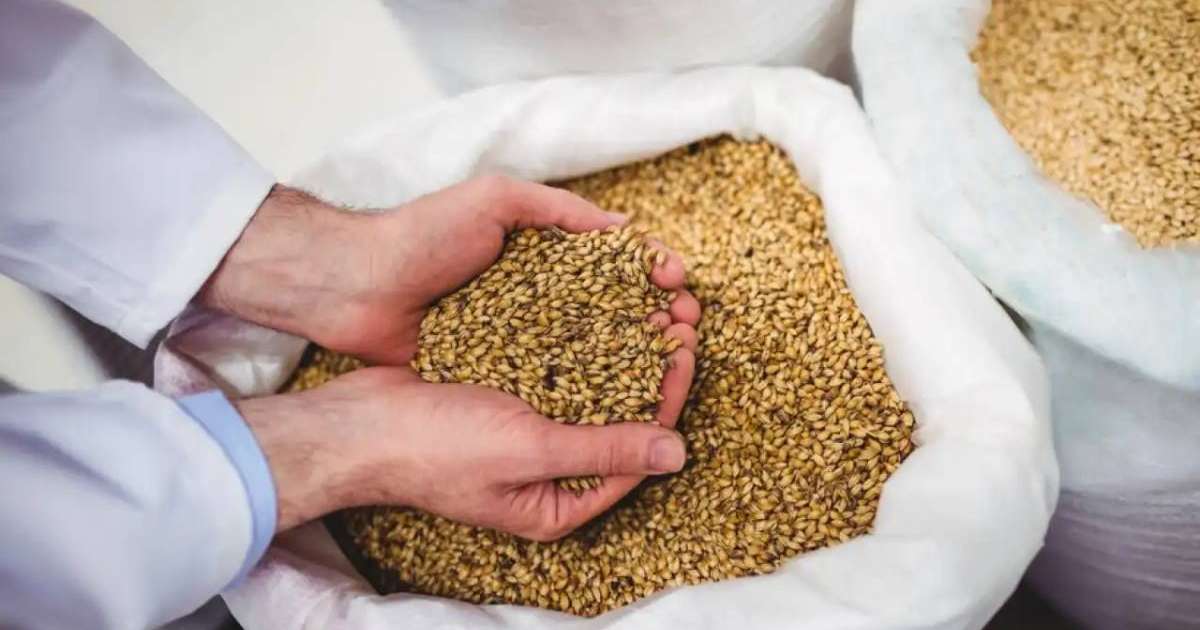 Елімізде жылына 1 млн тонна астық өндіретін жаңа терминал пайдалануға берілді