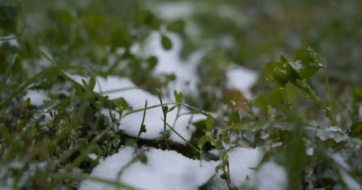 Синоптиктер алдағы үш күнге арналған ауа райы болжамын жариялады