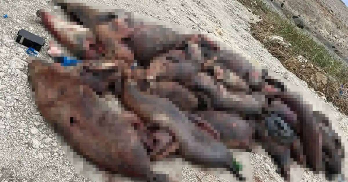 Colman Domingo and Jude Law at amfAR’s Venice Gala