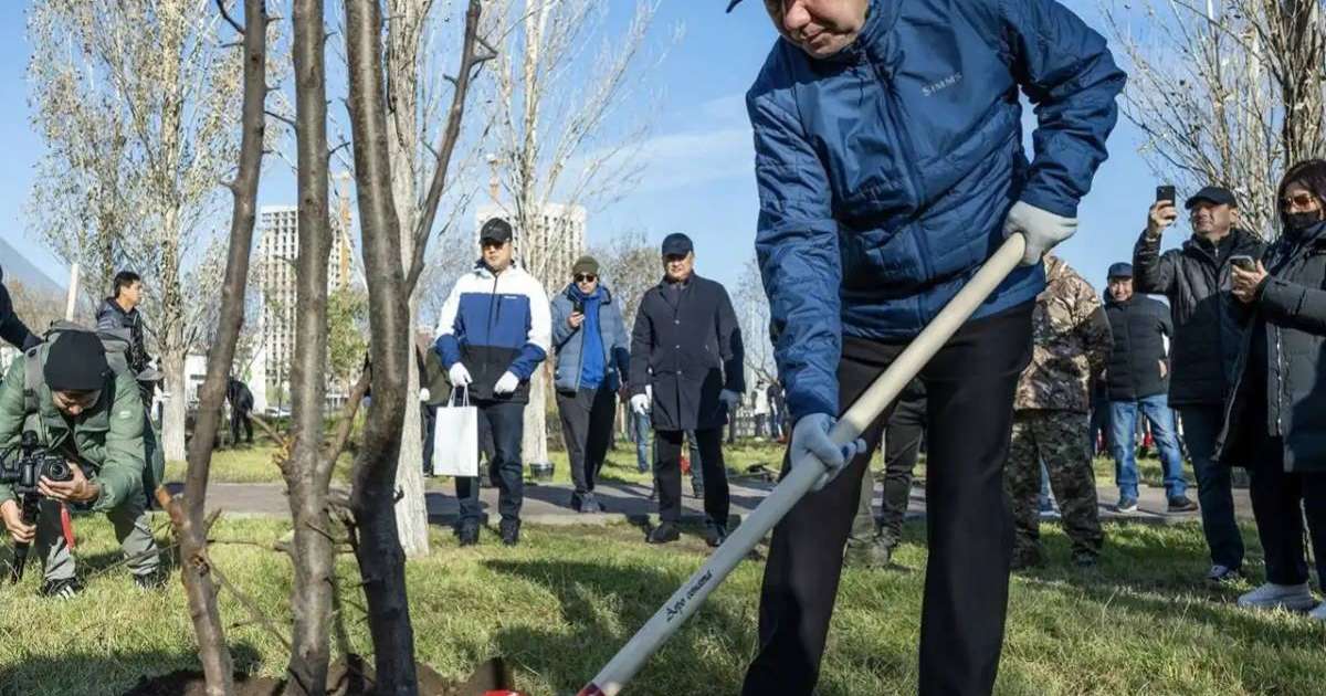 Елордада Мәжіліс депутаттары 300 ағаш отырғызды