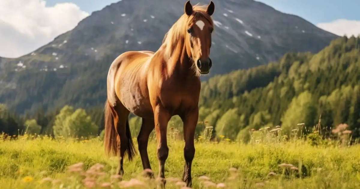 Асыл тұқымды жылқы асырағандарға мемлекеттен субсидия беріледі