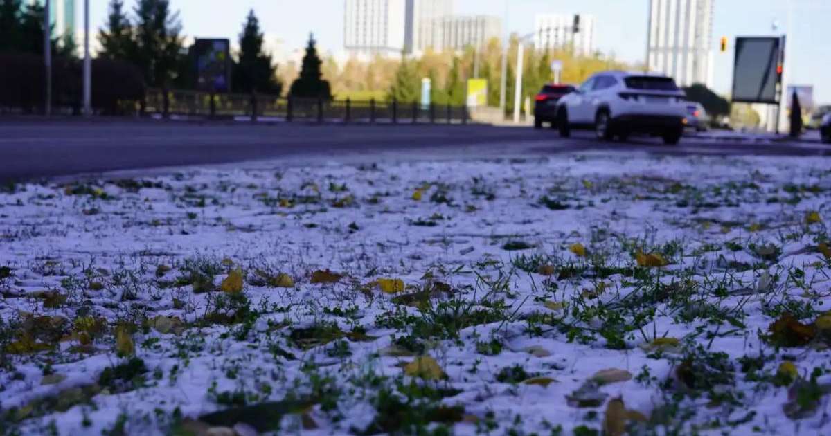 Colman Domingo and Jude Law at amfAR’s Venice Gala