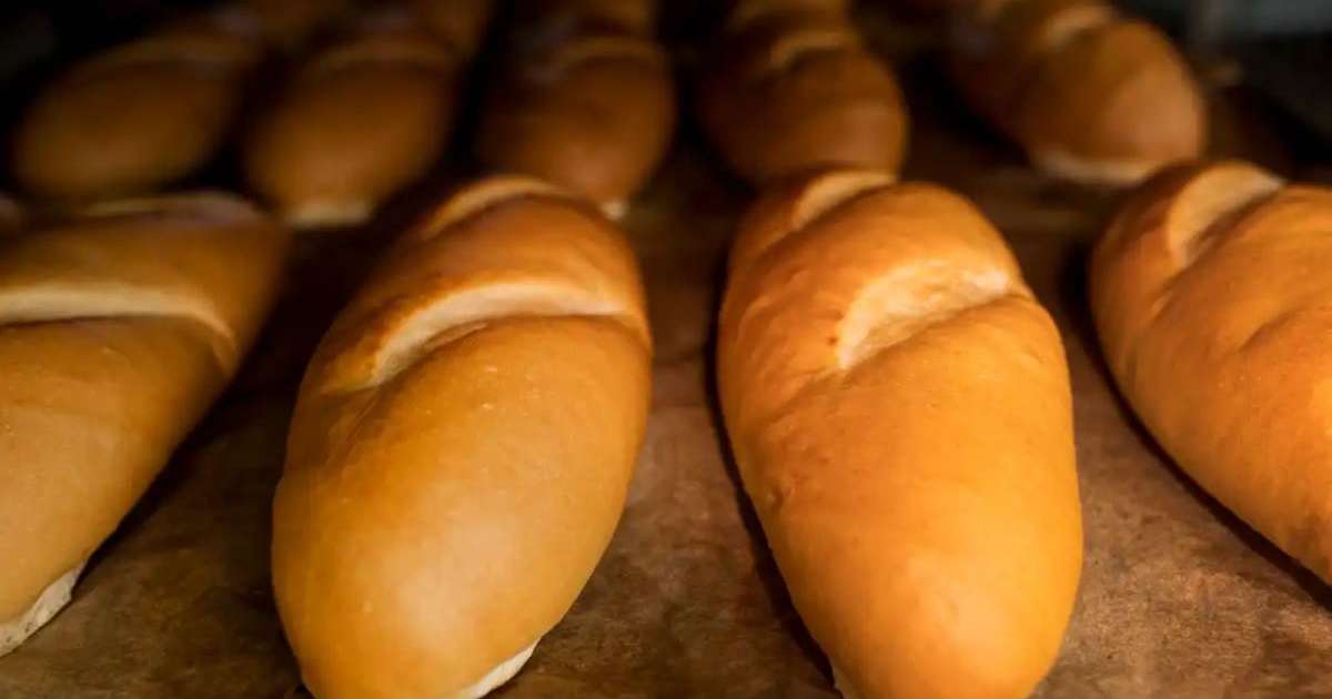 Биыл 329 мың тонна нан өндірілді