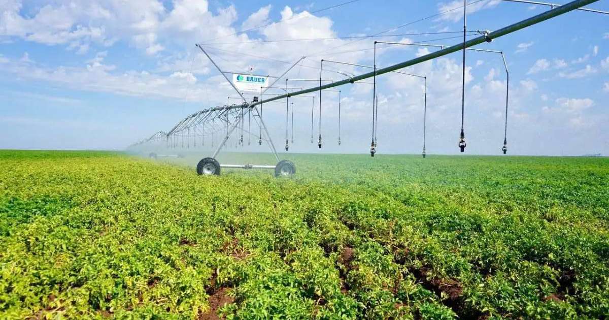 Барлық аймақта суару маусымы аяқталды