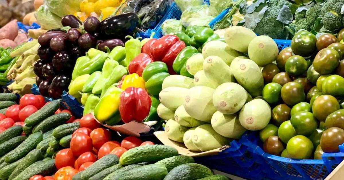 Астанада ауыл шаруашылығы жәрмеңкесі 12-13 қазан күндері өтеді