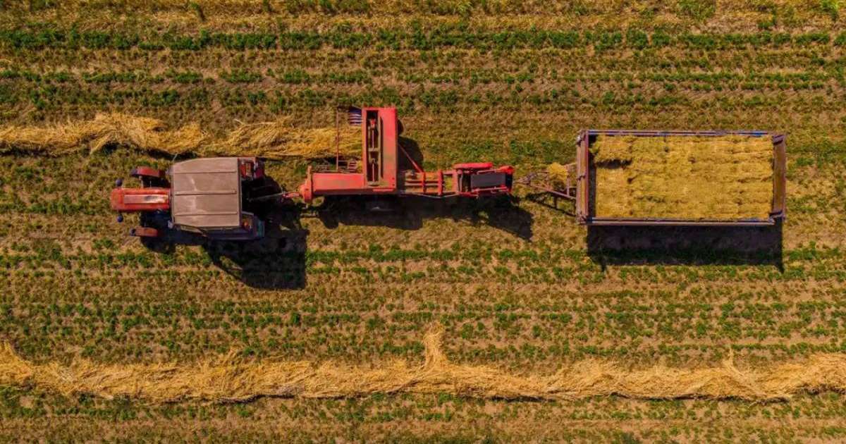 Қазақстанда пилоттық ауыл шаруашылығы санағы аяқталды