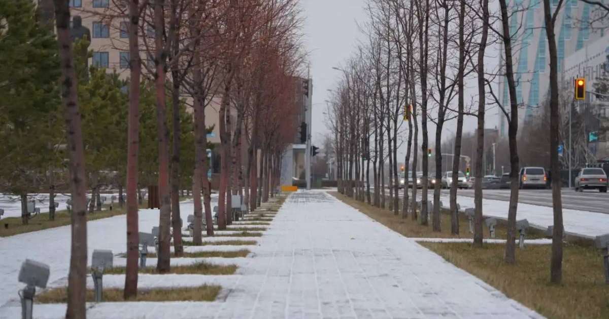 Вирустардан қорғануға арналған дезинфекциялық құралды қалай таңдауға болады