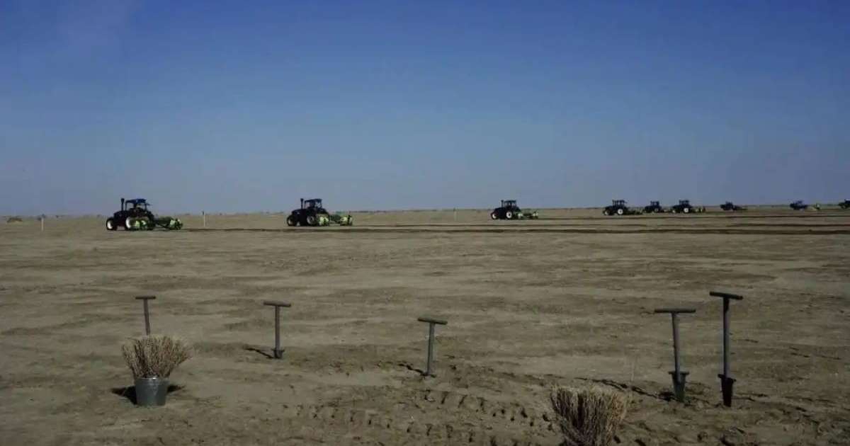 Арал теңізінің құрғаған табанына 275 мың гектар сексеуіл егіледі