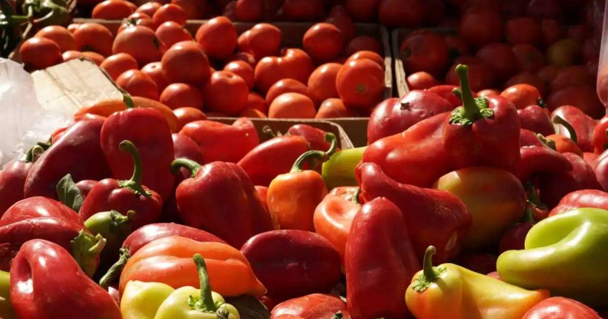 Екібастұзда «қызанақ» карантині енгізілді