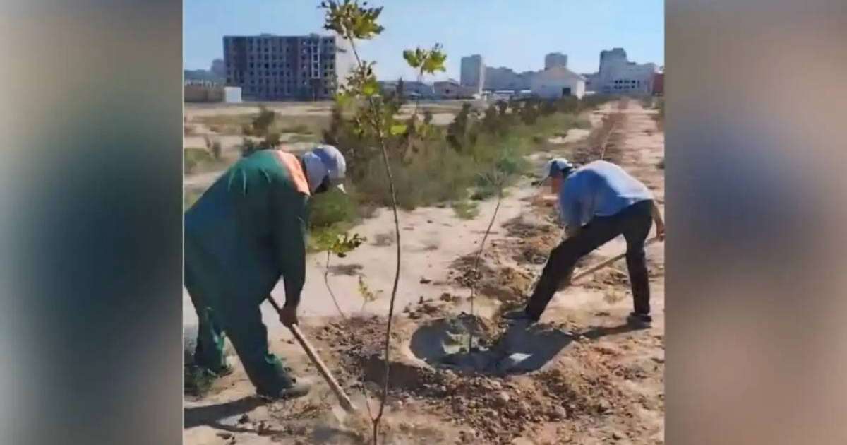 Маңғыстау облысында 160 сотталған қоғамдық жұмыстарға тартылды