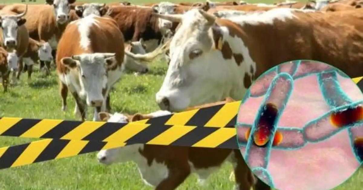 Алматы облысы Үлкен Ақсу ауылына карантин енгізіледі