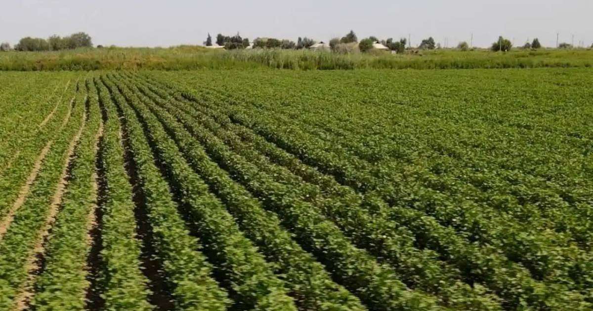 Қырғызстан Қазақстанға 534 млн текше метрден астам су жіберді