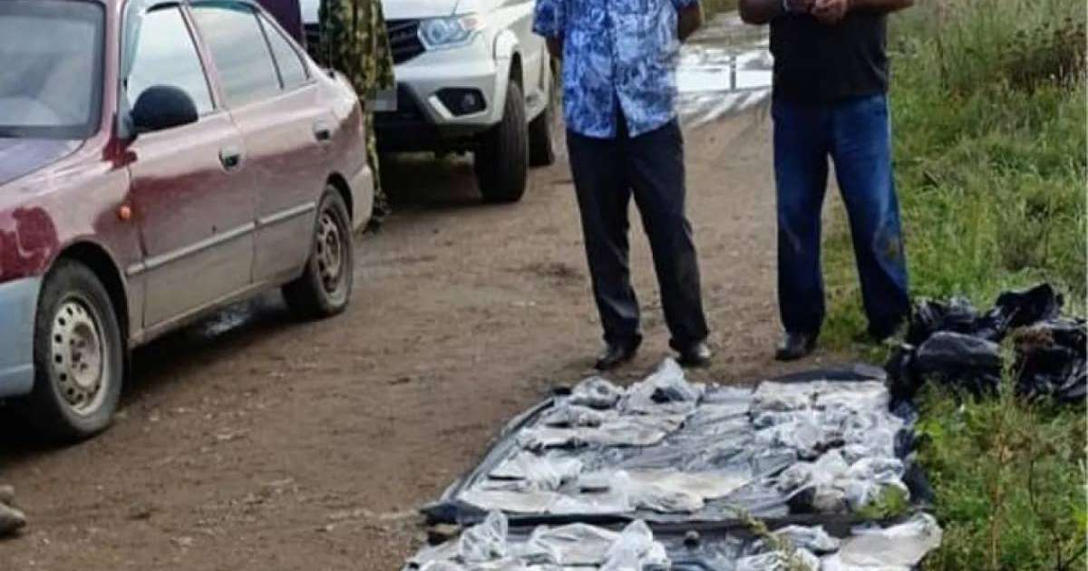 Ауғанстаннан есірткі жеткізумен айналысқандар ұсталды