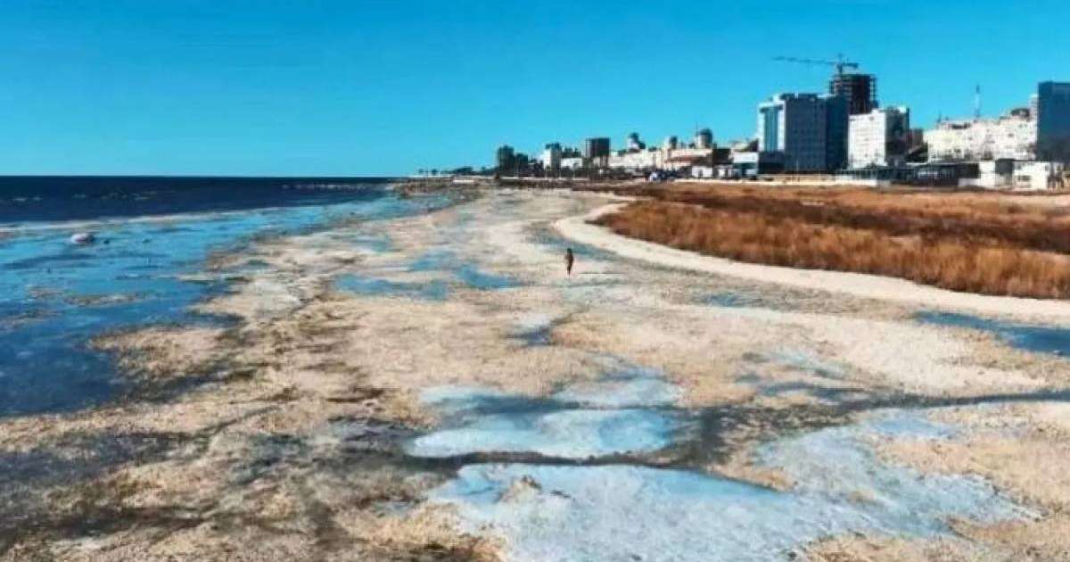 Colman Domingo and Jude Law at amfAR’s Venice Gala
