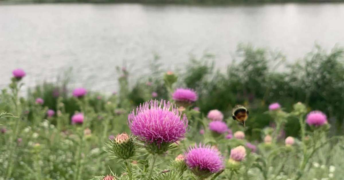 Найзағай, бұршақ, дауыл: Сенбіге арналған ауа райы болжамы