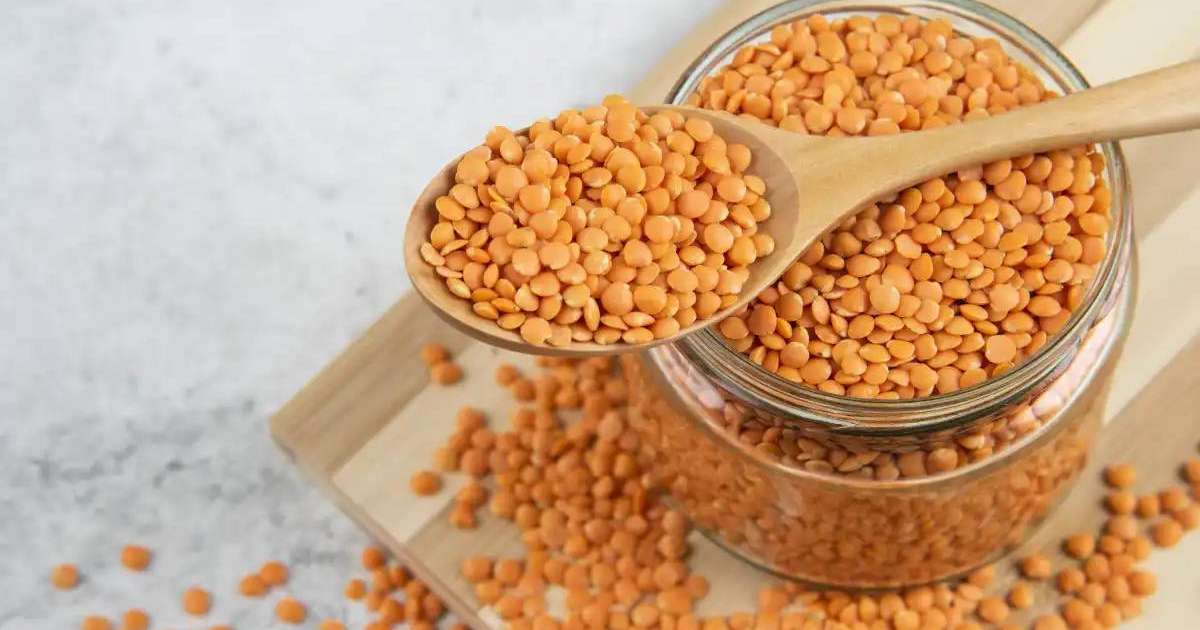 Ресей қазақстандық зығыр мен жасымықтың импортына салынған тыйымды жойған жоқ