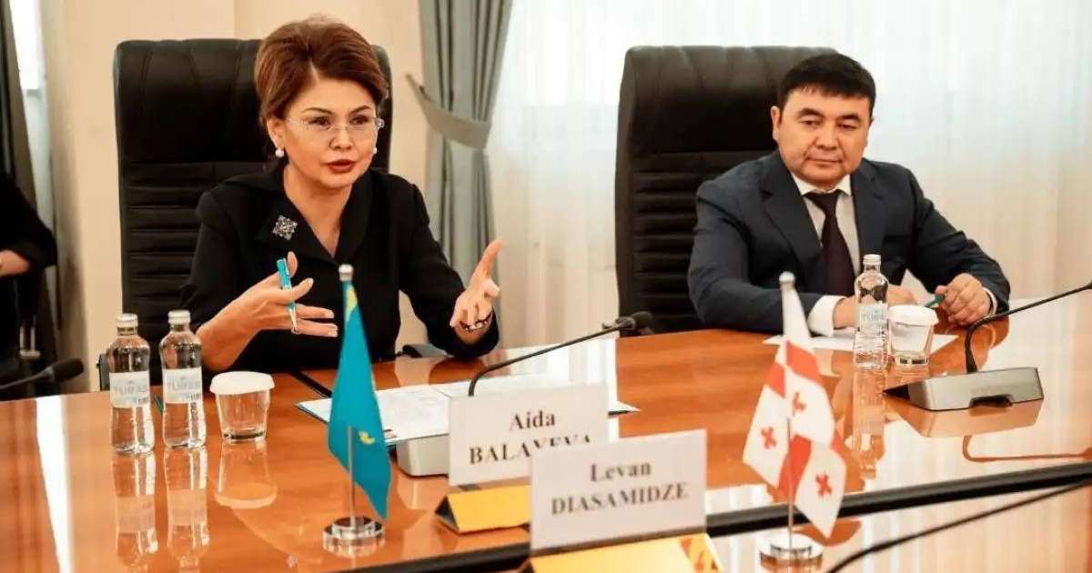 Қазақстан мен Грузия волонтерлік жобалар мен кинофильмдер алмасуды жоспарлап отыр