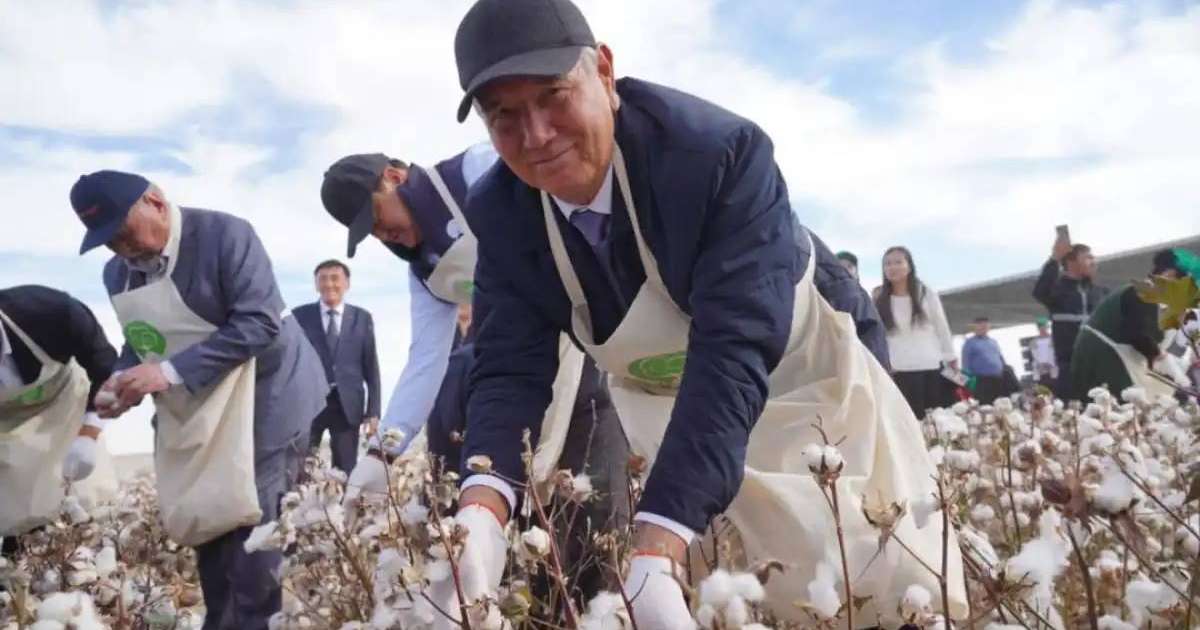 Түркістан облысында AQ-DALA мақташылар фестивалі өтті