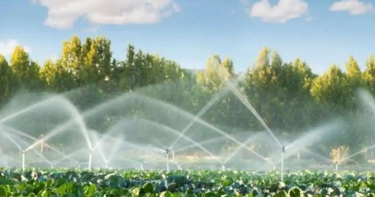 Су үнемдеу технологиялары пайдаланылатын егіс алқабының аумағы 86%-ға ұлғайды