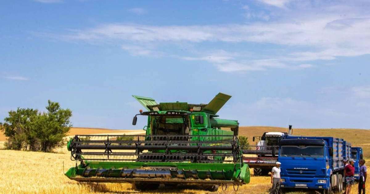 Елімізде шаруалар үшін кредиттік желілер тетігін енгізу жоспарланып жатыр