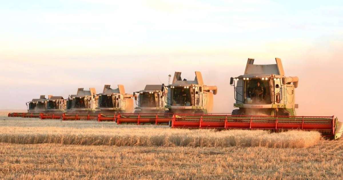 Барлық астық қабылдау кәсіпорындары тұрақты режимде жұмыс істеуі тиіс — Премьер-министр