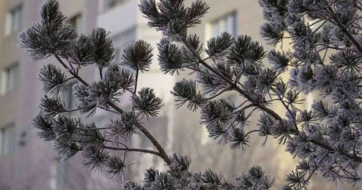 Бүгінгі Астананың ауа райы болжамы