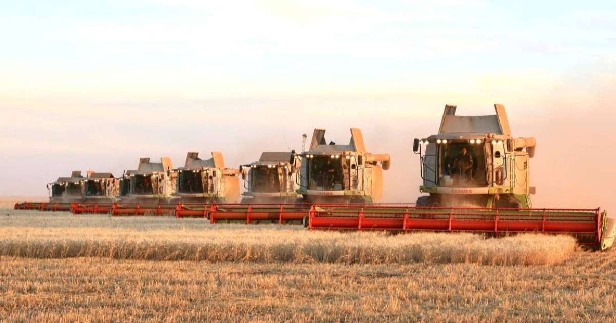 Елде дәнді дақылдарды жинау толық аяқталды — министр