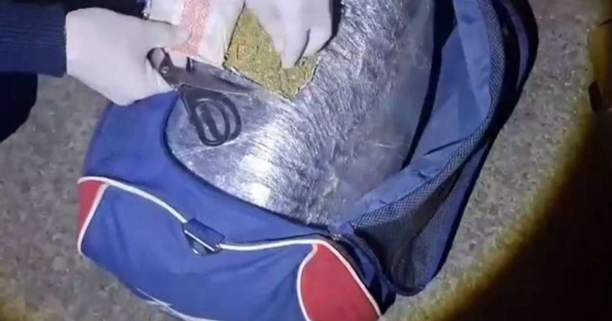 Жамбыл облысында полицейлер ер адамнан 38 келіден астам марихуана тәркіледі