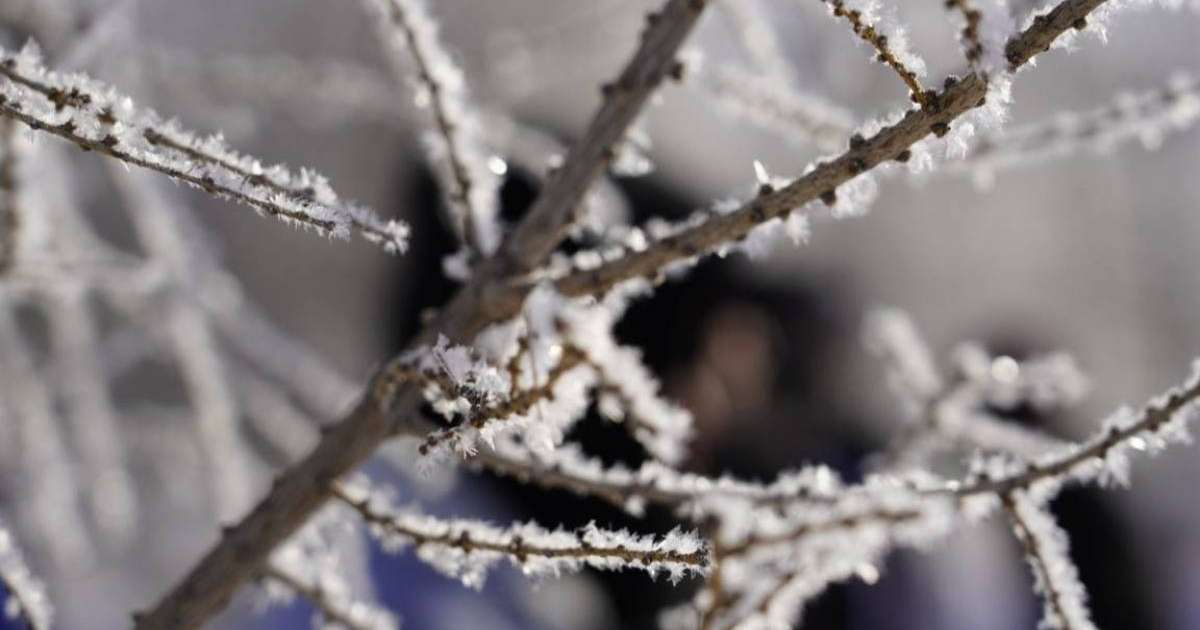 Республикалық маңызы бар автожолдардың барлығы ашық – Қазавтожол