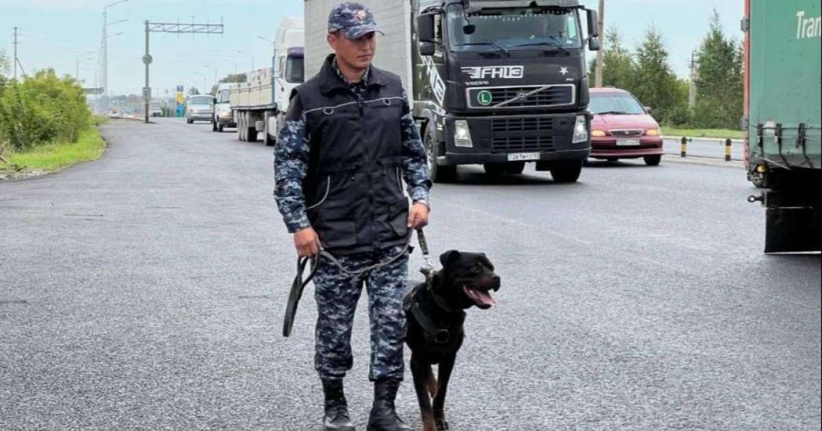 Colman Domingo and Jude Law at amfAR’s Venice Gala