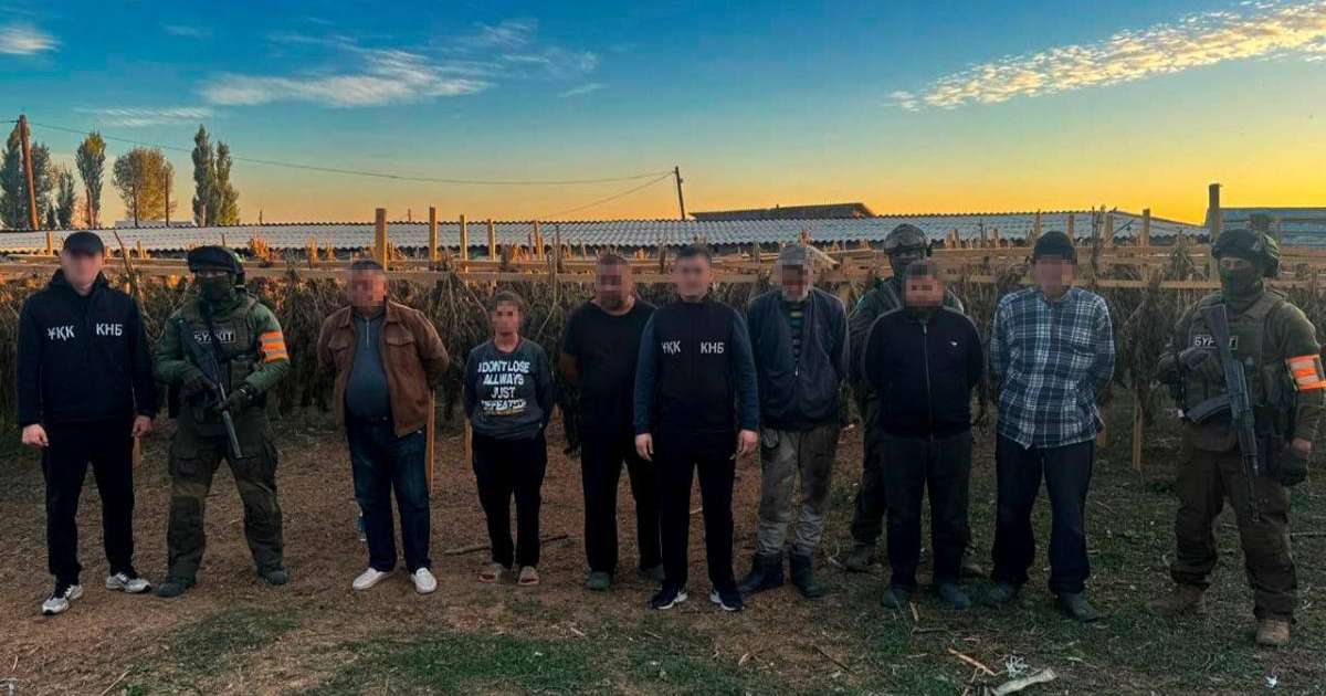 Есірткі тасымалының 3 халықаралық және 3 аймақтық арнасы жойылды – ҰҚК