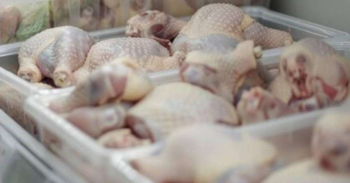 Қазақстанға Ресейден 20 тонна құс еті заңсыз өткізілмек болған