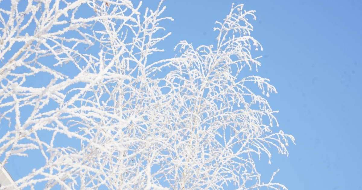 Қазақстанда қыс мезгілінде қайда демалуға болады