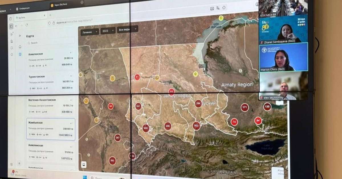 «Қазақстан – ФАО»: шегірткеге қарсы зиянкестерге қатысты мониторинг жүргізу жүйесі іске қосылды