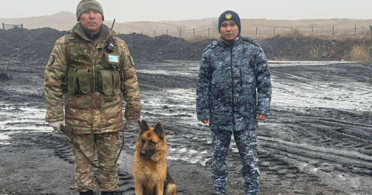 Ұландық сарбаздар түрмеге телефон алып өтпек болғандардың жолын кесті