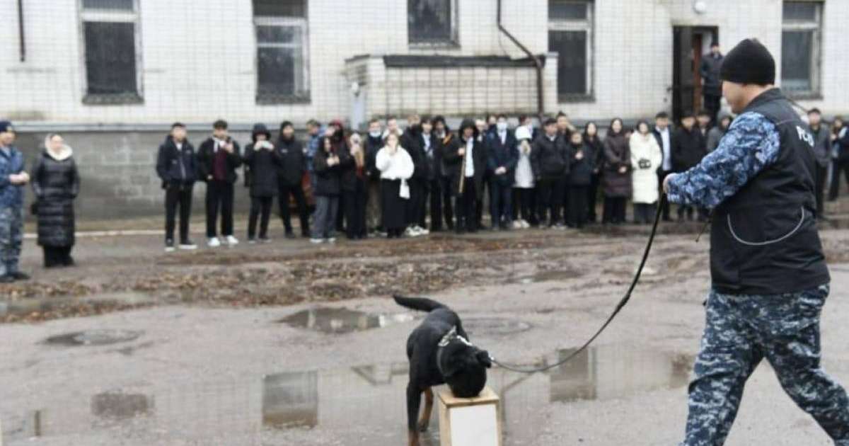 Астаналық студенттер кинологиялық қызметтің қыр-сырымен танысты