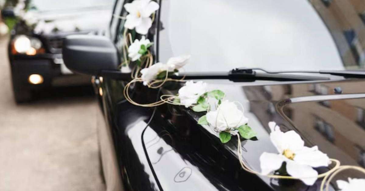 Той кортежі: Түркістанда жол ережесін бұзған жүргізушілер жазаланды