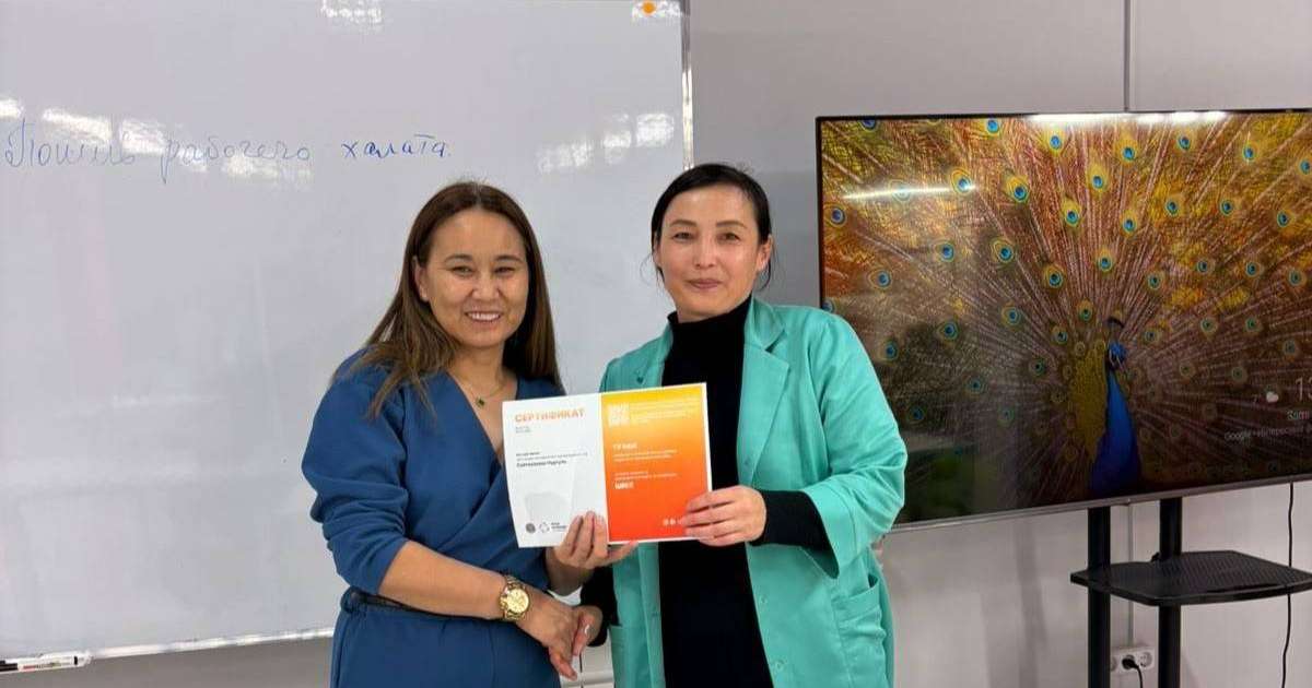 JOLTAP жолымды ашты: Астана тұрғыны жоба туралы пікірін білдірді