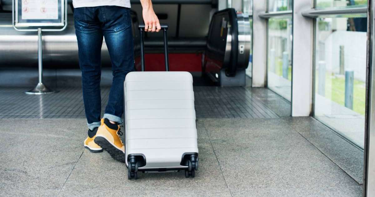 Алматы әуежайында ірі көлемде есірткі контрабандасының жолы кесілді