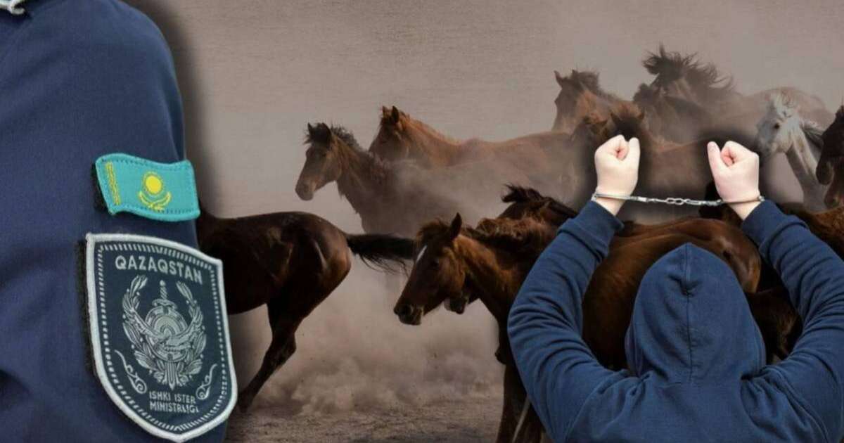 Ұлытау облысында ұрланған 100-ге жуық мал иелеріне қайтарылды