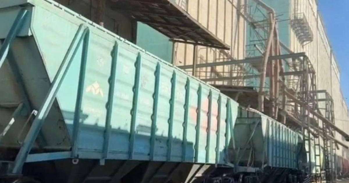 Елден 3,1 млн тонна астық экспортталды – АШМ