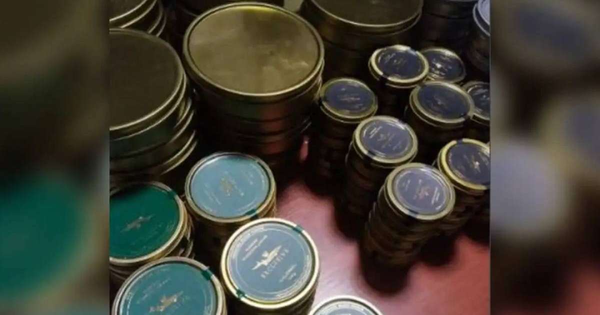 Қырғызстаннан әкелген бір тонна үйрек еті мен 32 кг уылдырық кері қайтарылды