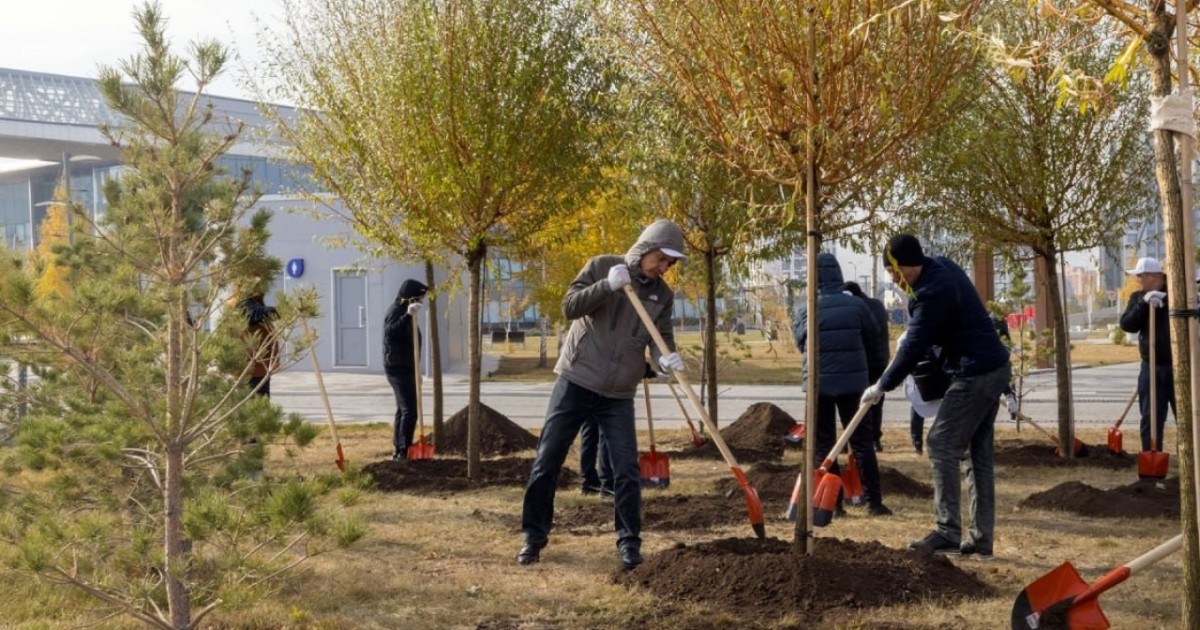 Президент тапсырмасы: 2 млрд ағаш 2027 жылға дейін отырғызылады