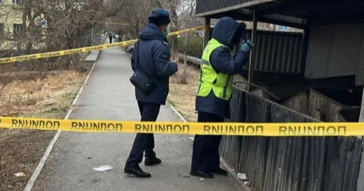 Кентауда қоқыс жәшігінен жаңа туған сәбидің денесі табылды