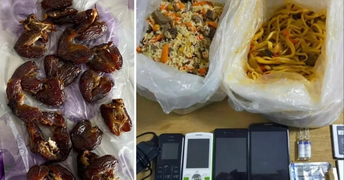 Түзеу мекемесіне телефонды палау ішіне тығып өткізбек болғандардың ойы іске аспай қалды