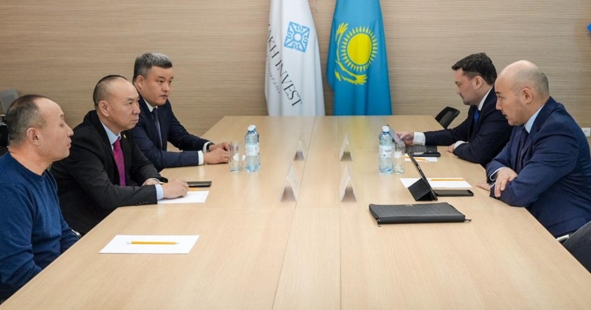 Қытай компанияcы энергетиканы жаңғырту ұлттық жобасына қатысуға ниет білдірді