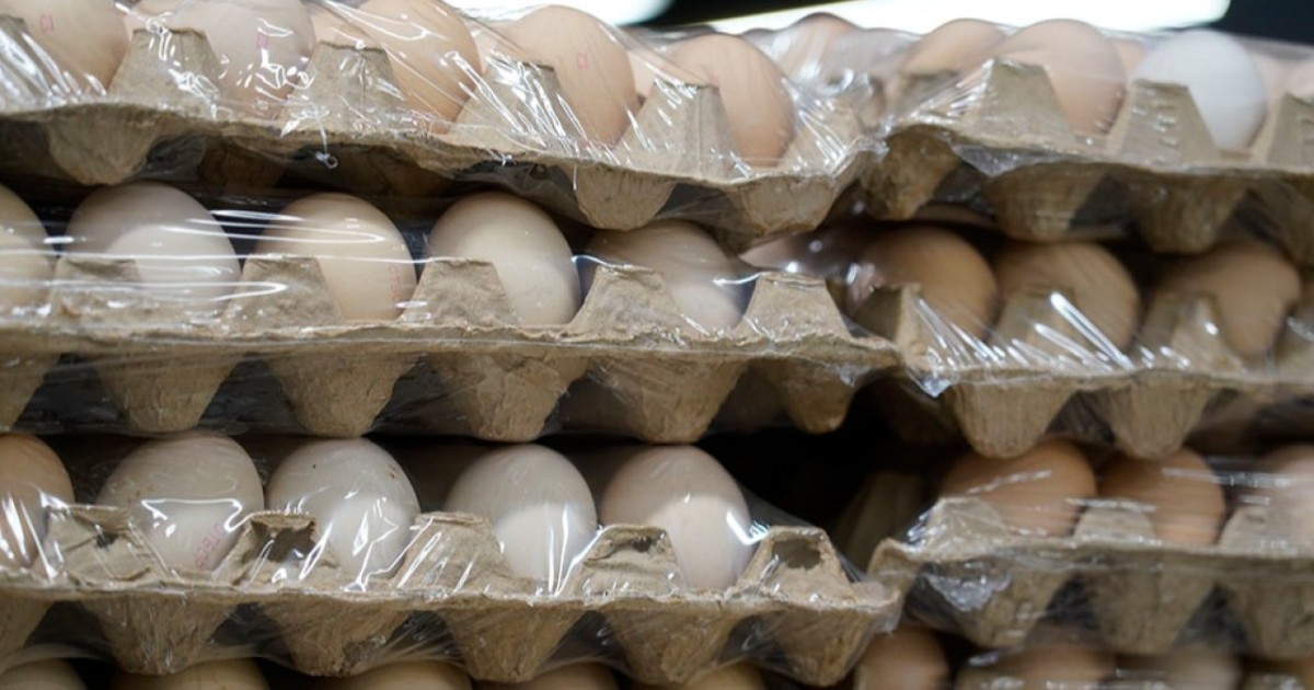 Қазақстанға тауық жұмыртқасын әкелуге тыйым салынды