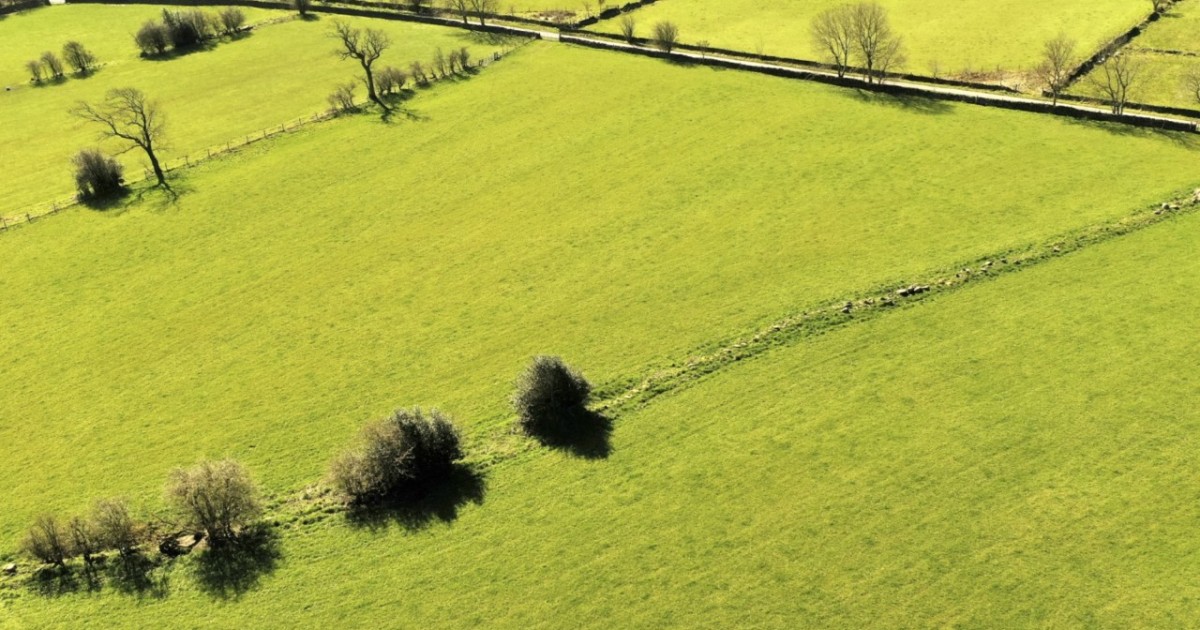 Шаруа қожалығының құны 100 млн теңгеден асатын жер учаскелері мемлекет меншігіне қайтарылды